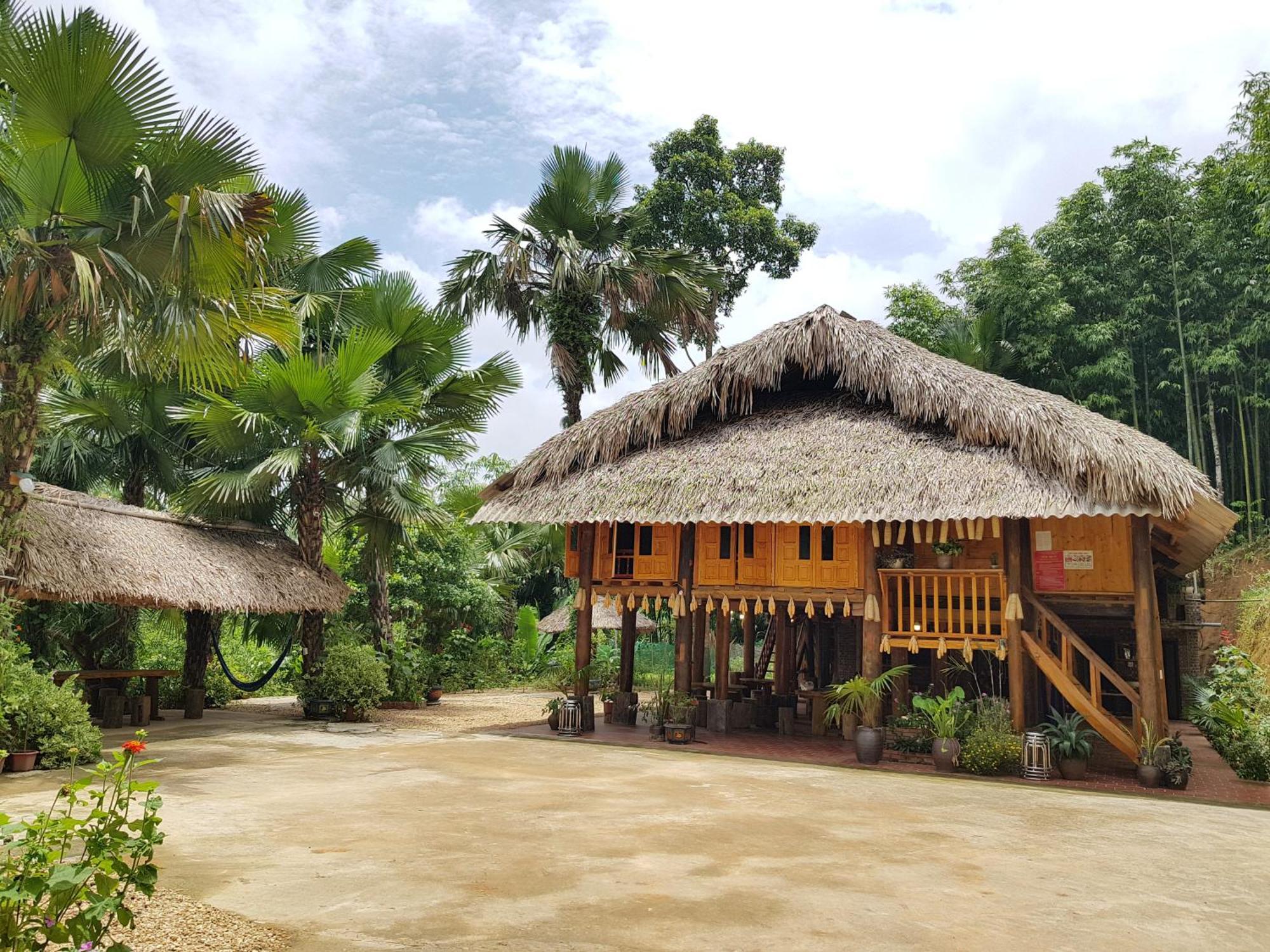 Vu Linh Palm House Homestay - Bungalow Yen Bai Exterior foto