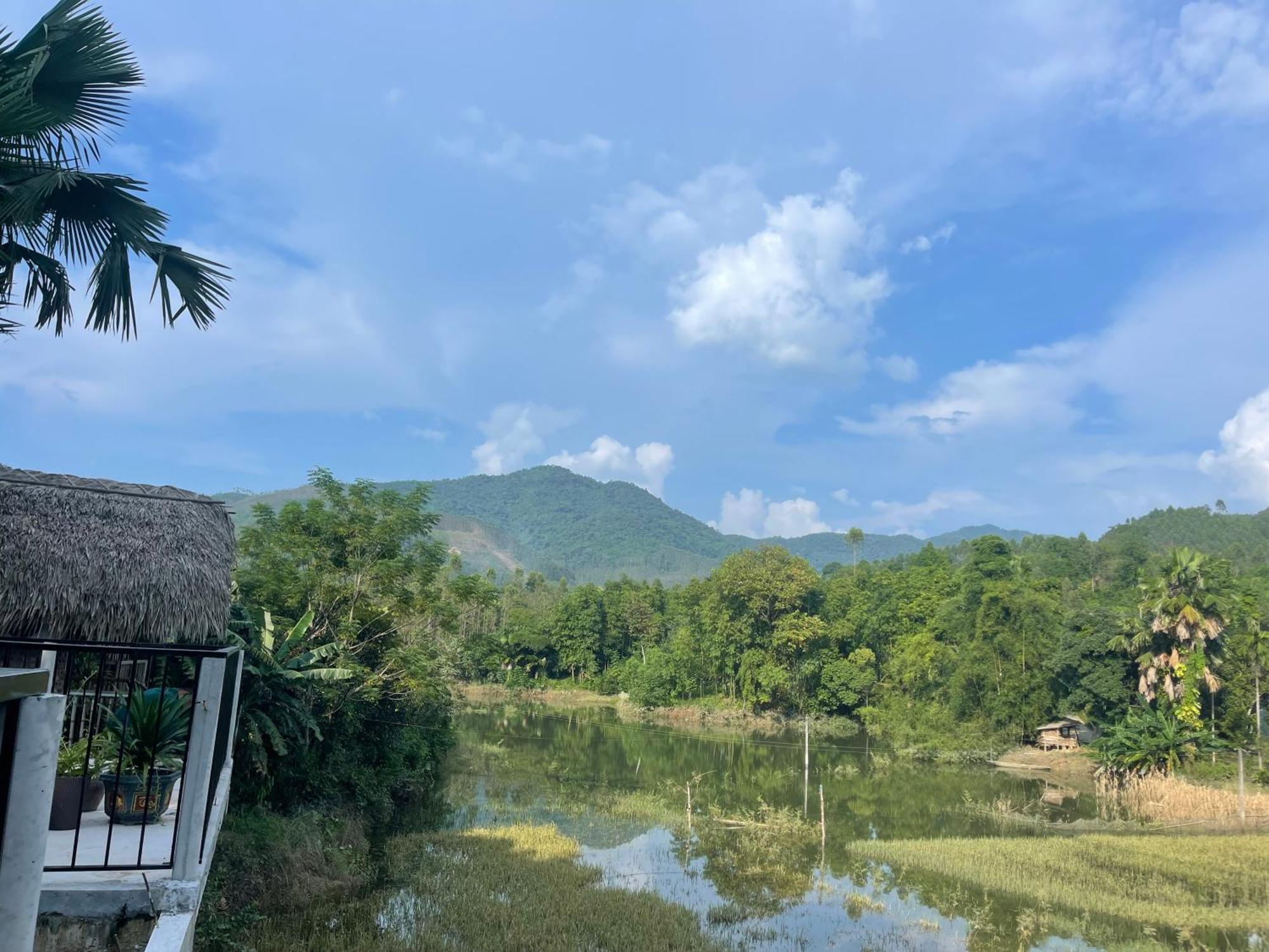Vu Linh Palm House Homestay - Bungalow Yen Bai Exterior foto